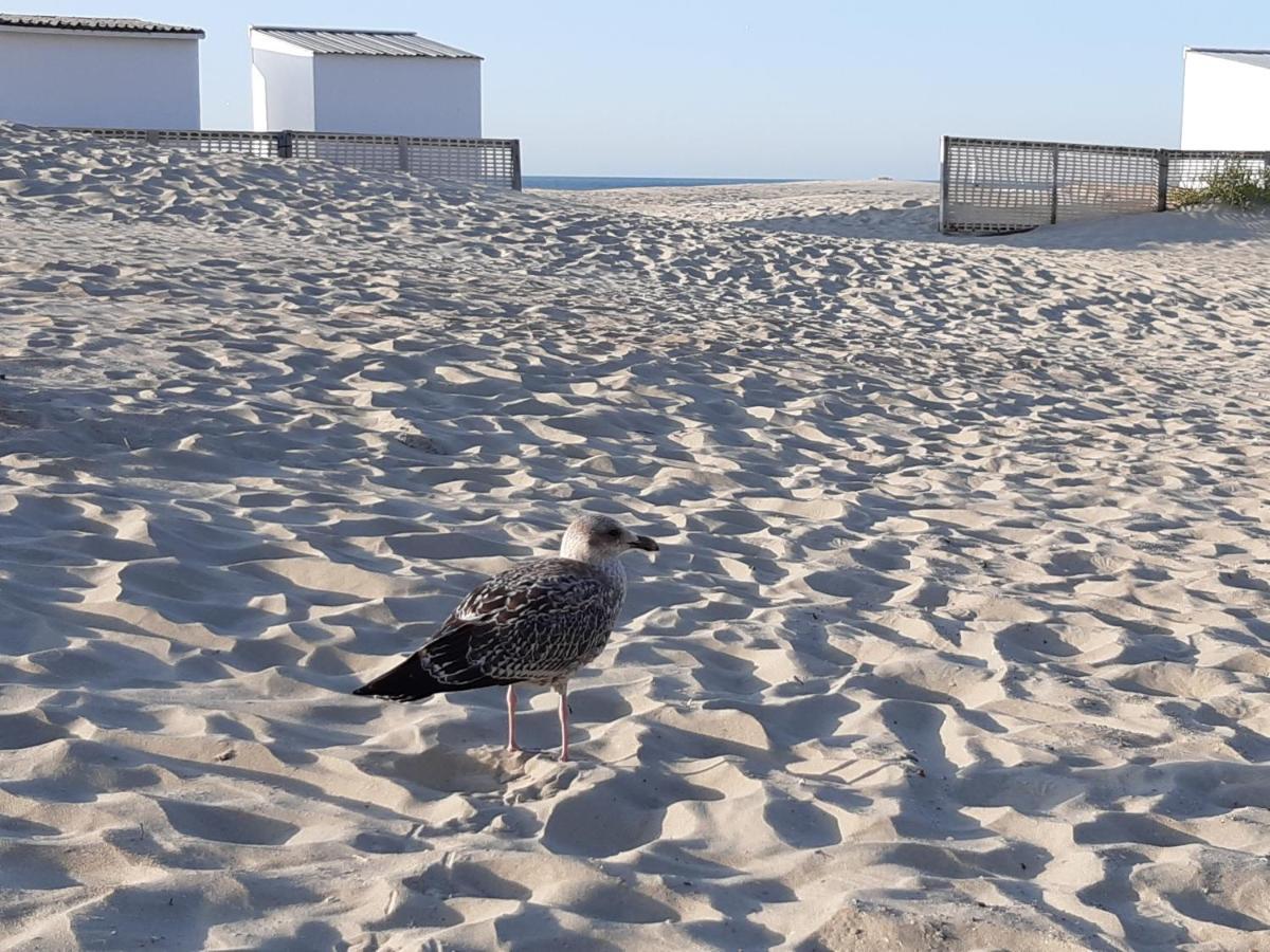 Nieuwpoort Marjolaine Prachtig Zeezicht - 4De Verdiep -Op De Dijk 5Pers Esterno foto